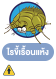 ไรขี้เรื้อนแห้ง (Sarcoptic Mange Mites)