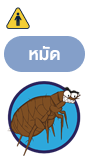 หมัด (Fleas)