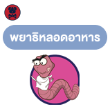 พยาธิหลอดอาหาร (Esophageal worm)