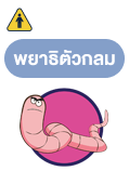 พยาธิไส้เดือน (Roundworm)