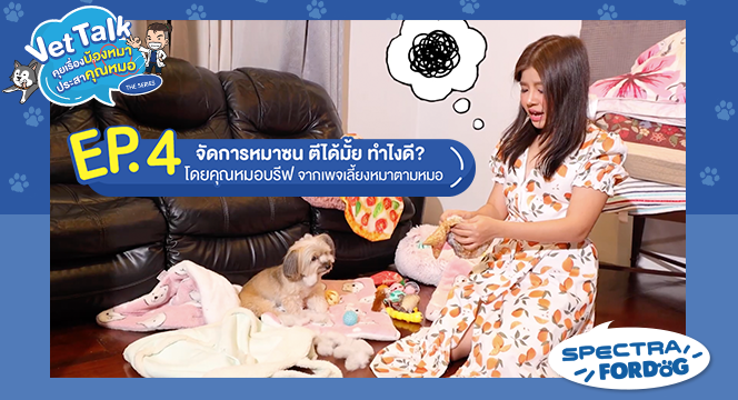 VET TALK คุยเรื่องน้องหมา ประสาคุณหมอ EP.4 จัดการหมาซน ตีได้มั้ย ทำไงดี?