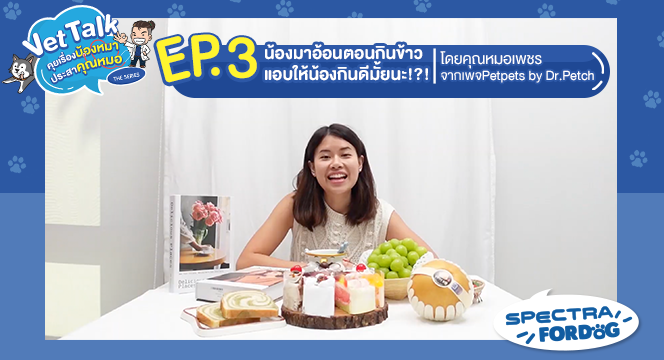 VET TALK คุยเรื่องน้องหมา ประสาคุณหมอ EP.3 น้องมาอ้อนตอนกินข้าว แอบให้น้องกินดีมั้ยนะ!?