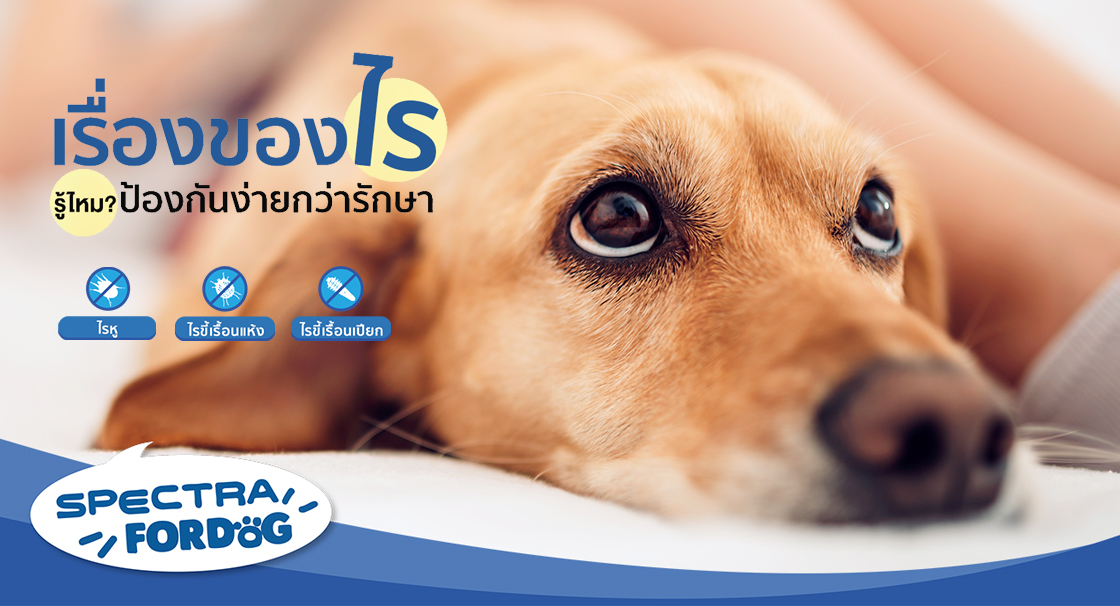 เรื่องของไร รู้ไหม ป้องกันง่ายกว่ารักษา