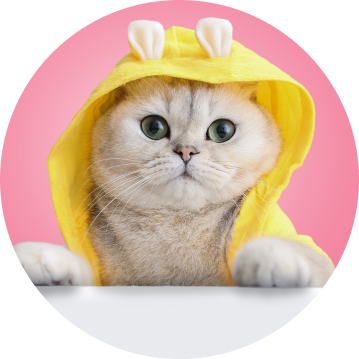 img-cat-contact-us