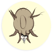 parasite-3