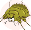 parasite-3